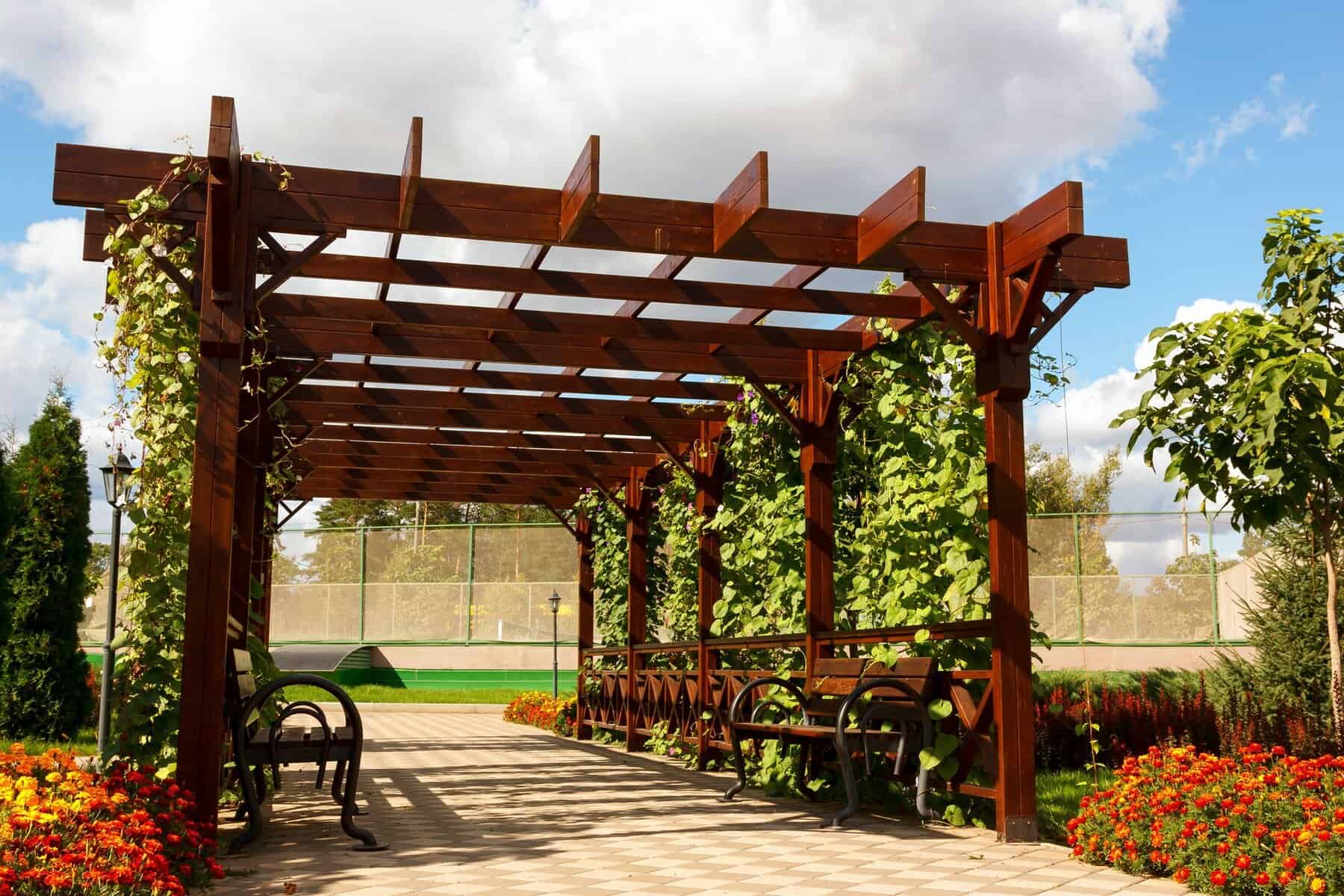 Professional Pergola & Arbor Painting and Staining Services Rich dark-brown stained pergola with open lattice roof, climbing vines, iron benches, and colorful garden flowers — pergola and arbor painting Middlesex County MA